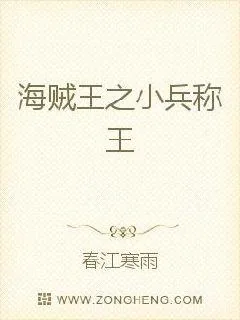 《海贼王之小兵称王》小说封面