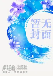 《磁锁》小说封面