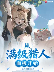 《从满级猎人面板开始》小说封面