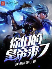 《你们的皇帝来了》小说封面