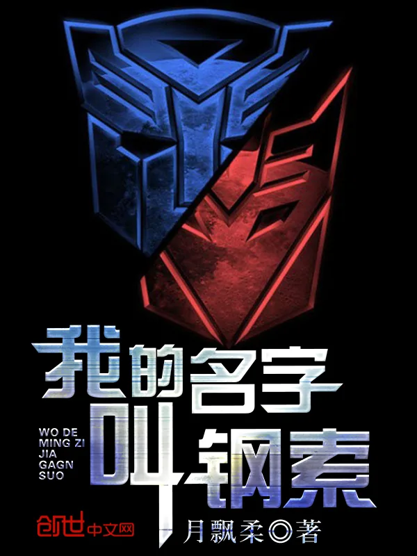 《我的名字叫钢索》小说封面