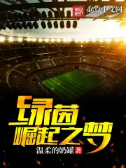 《绿茵狂梦》小说封面