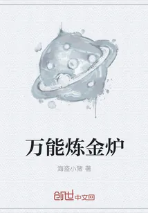 《万能炼金炉》小说封面