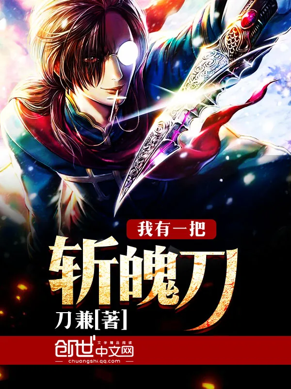 《我有一把斩魄刀》小说封面