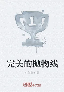 《完美的抛物线》小说封面