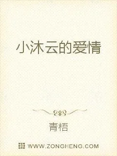 《陷入你的纯情》小说封面