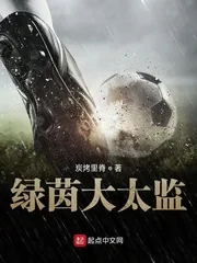 《绿茵大太监》小说封面