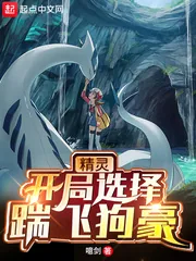 《精灵：开局选择踹飞狗豪》小说封面