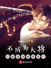 《不成为大将只能退休继承家产》小说封面