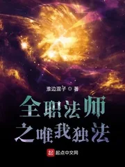 《全职法师之唯我独法》小说封面