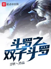 《斗罗之双子斗罗》小说封面