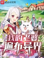 《我的老婆遍布异界》小说封面