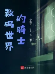 《数码世界的骑士》小说封面