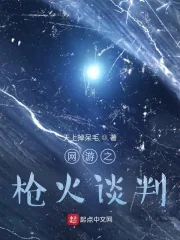 《网游之枪火谈判》小说封面