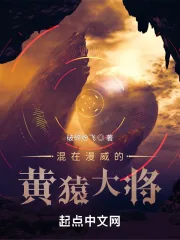 《混在漫威的黄猿大将》小说封面