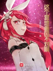 《这个营地画风不对啊》小说封面