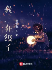 《我，升级了》小说封面