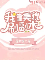 《我靠美貌刷副本》小说封面