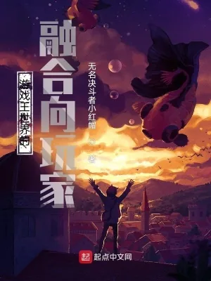 《游戏王世界的融合向玩家》小说封面