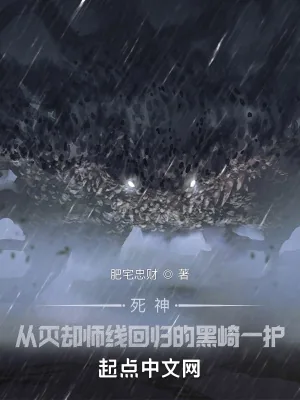 《死神：从灭却师线回归的黑崎一护》小说封面
