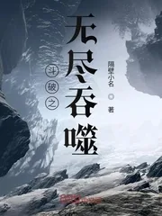 《斗破之无尽吞噬》小说封面