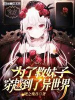 《为了救妹子穿越到了异世界》小说封面