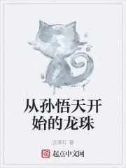 《从孙悟天开始的龙珠》小说封面