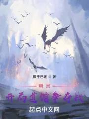 《精灵：开局道馆争夺战》小说封面