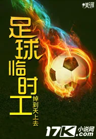 《足球临时工》小说封面