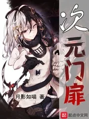 《次元门扉》小说封面