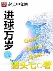 《进球万岁》小说封面
