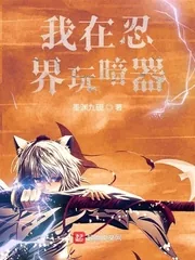 《我在忍界玩暗器》小说封面