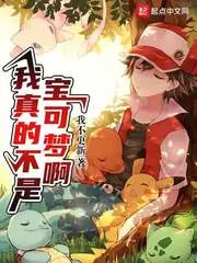 《我真的不是宝可梦啊》小说封面