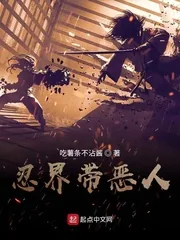 《忍界带恶人》小说封面