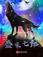 《知否之盛家七郎》小说封面