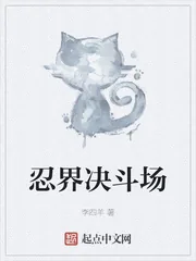 《忍界决斗场》小说封面