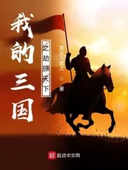 《我的三国之劫掠天下》小说封面