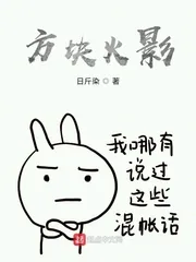 《方块忍界》小说封面