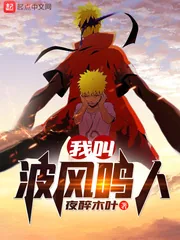 《我叫波风鸣人》小说封面