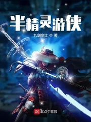 《半精灵游侠》小说封面