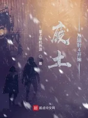 《废土从辐射4开始》小说封面