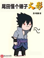 《尾田懂个锤子忍者》小说封面
