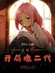 《斗破之开局魂二代》小说封面