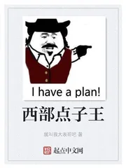 《西部点子王》小说封面