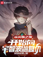 《从灭族之夜开始向宇智波鼬复仇》小说封面