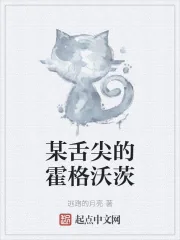 《某舌尖的霍格沃茨》小说封面
