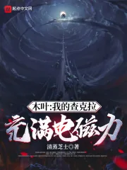 《木叶：我的查克拉充满电磁力》小说封面