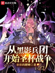 《从黑影兵团开始圣杯战争》小说封面