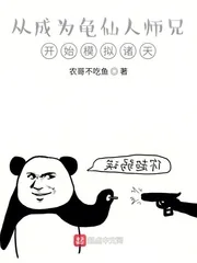 《从成为龟仙人师兄开始模拟诸天》小说封面