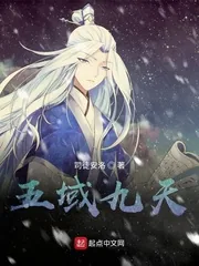 《五域九重天》小说封面